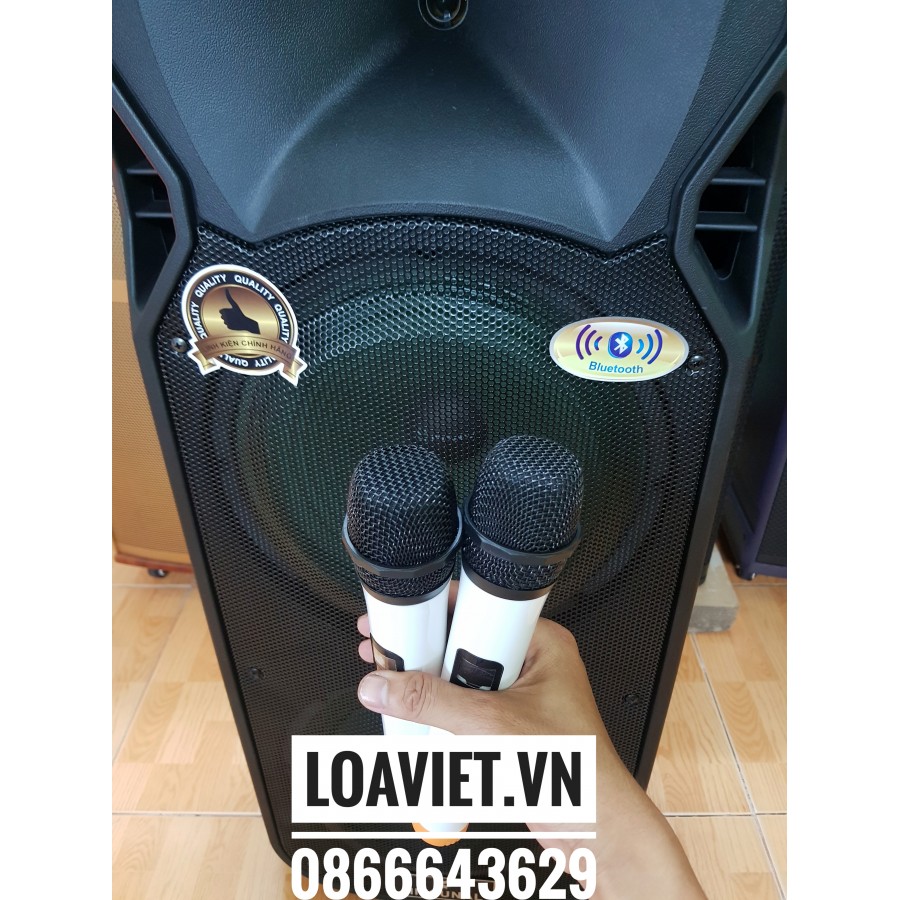 Loa kéo di dộng Mitsunal M66 - 2 Bass 30